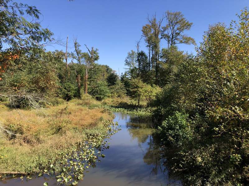 View southeast up the Millstone River from the bridge for County Route 539 along the border of Cranbury Township, Middlesex County and East Windsor Township, Mercer County in New Jersey
