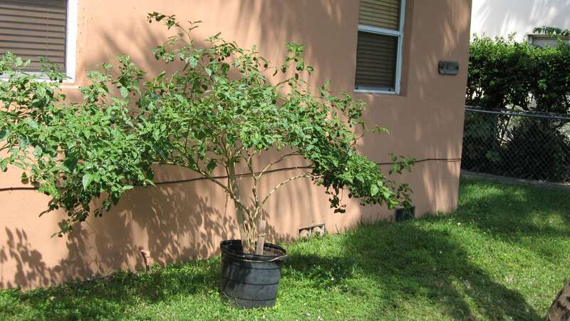 2341 sw 27 th street miami fl