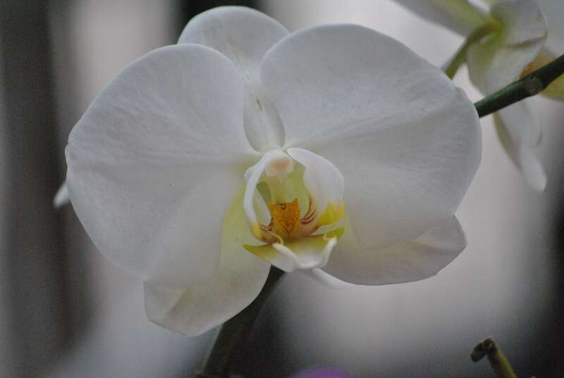 Lost for words to describe this one .................