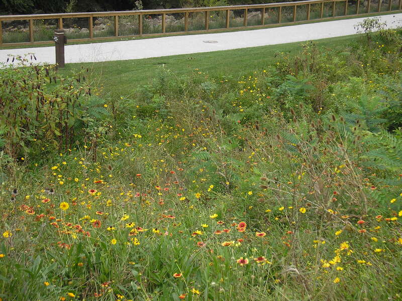 Beech Street Power Plant