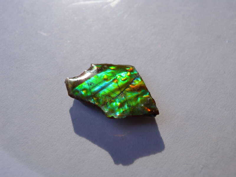 Fossil shell of an ammonite. Found like this only on the eastern slopes of the Rockies in southern Alberta, one of the rarest of gemstones. This 2cm, grade A+, specimen shows all colors (including blue), has good prismatic chromatic shift, and