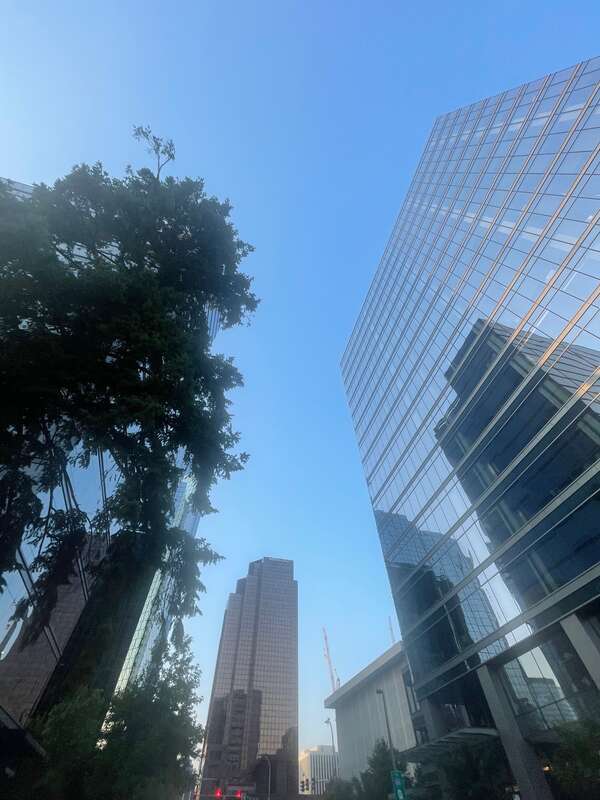 Bellevue, Washington, skyline from a worm's-eye view on 108th Avenue NE