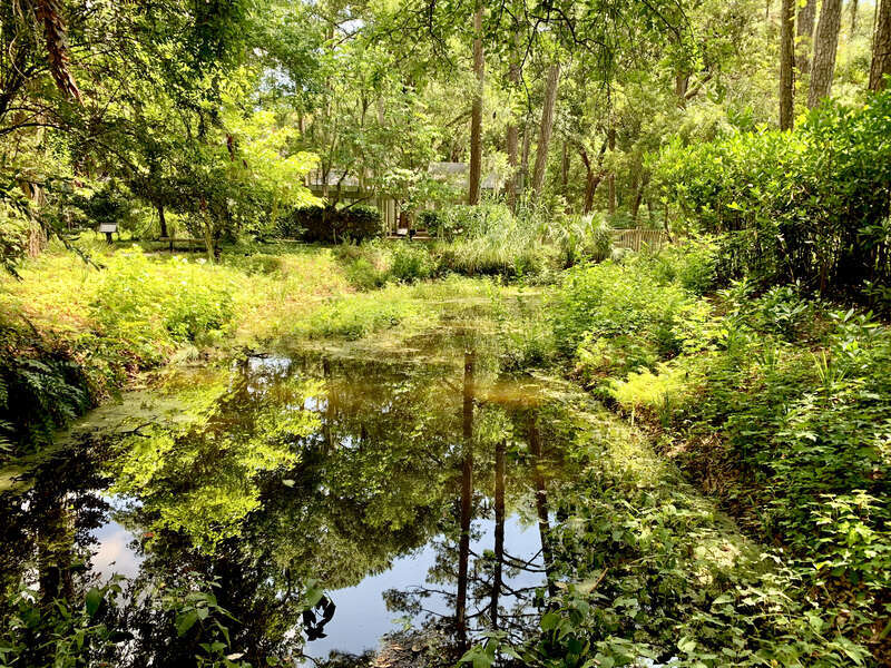 The Xeriscape Garden, located at the Town of Hilton Head Island Government Offices off Wexford Drive, provides a unique open space for residents and visitors. It is a great demonstration of gardening with little supplemental watering.