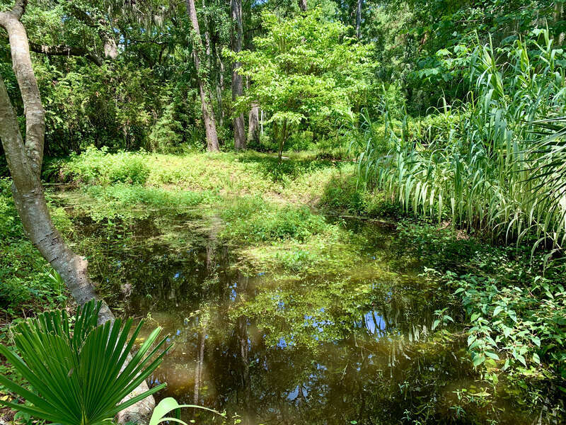 The Xeriscape Garden, located at the Town of Hilton Head Island Government Offices off Wexford Drive, provides a unique open space for residents and visitors. It is a great demonstration of gardening with little supplemental watering.