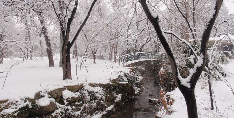 Botanic Gardens / Fort Worth / Texas / USA