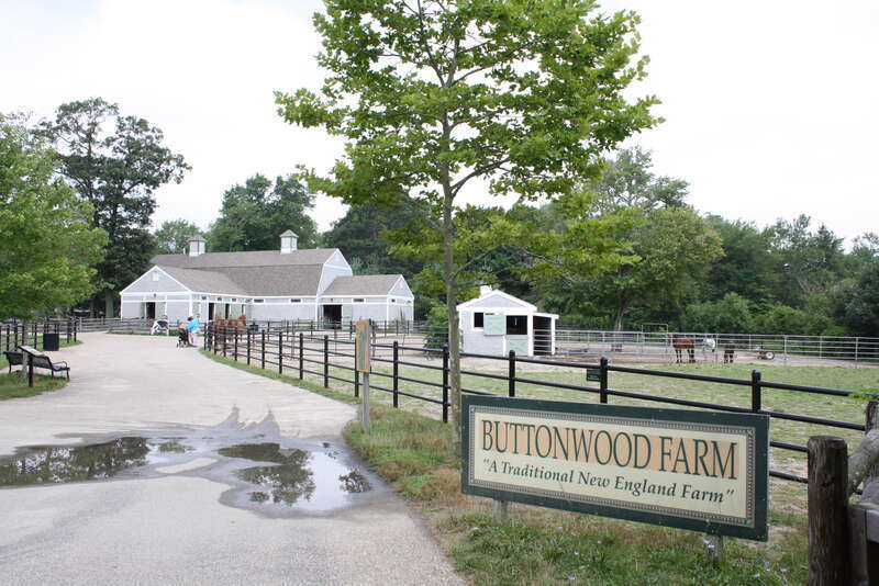 Buttonwood Zoo