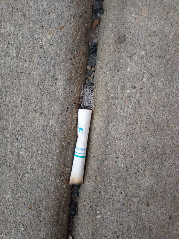 Butt of a discarded Camel Crush cigarette reposing in a sidewalk crack in Springfield Illinois.