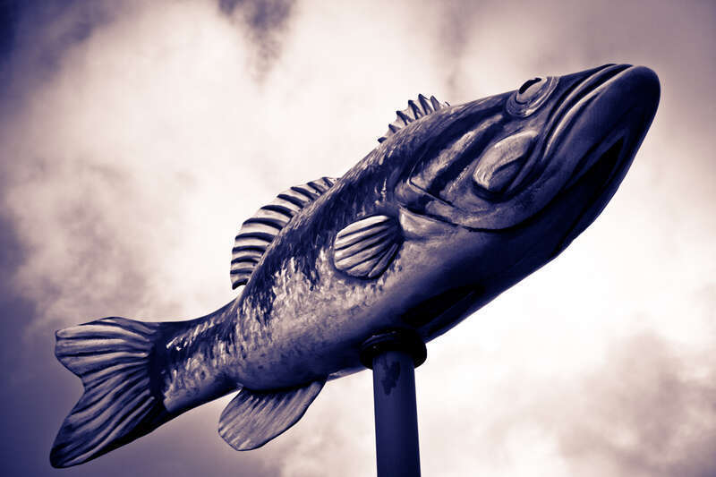500px provided description: Fish On A Stick []