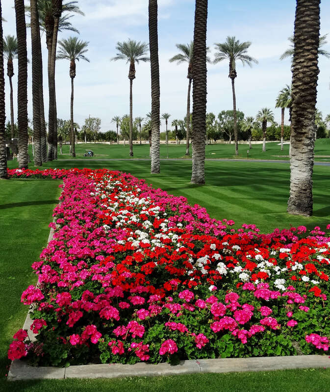 (1 in a multiple picture set)
The gardeners at the Desert Springs Marriott Resort go above and beyond to add beauty to the grounds.