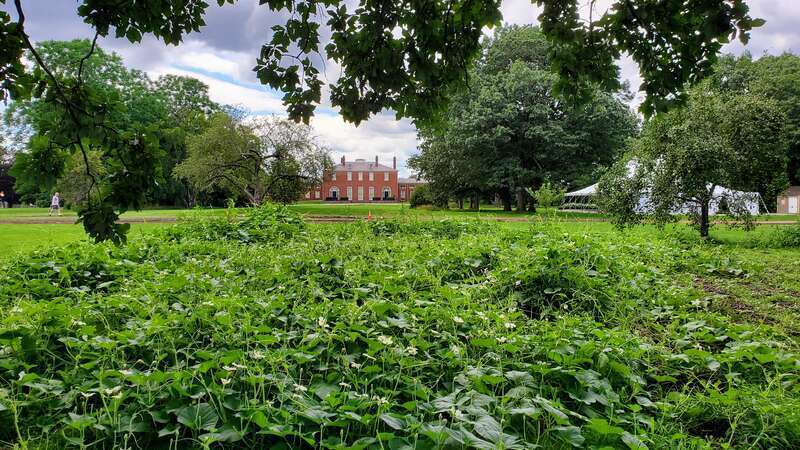 Gore Place, Waltham, MA