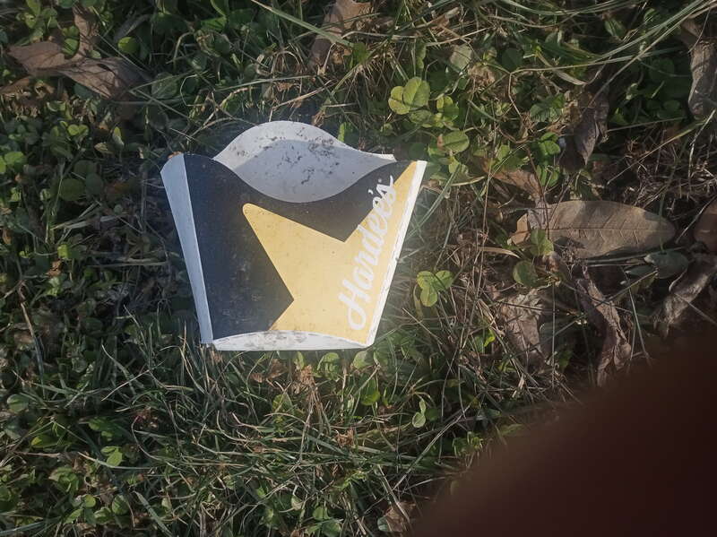 A French fry container made of plastic-coated paper and bearing the Hardee's brand, resting in late winter grass on a roadside in Springfield Illinois.