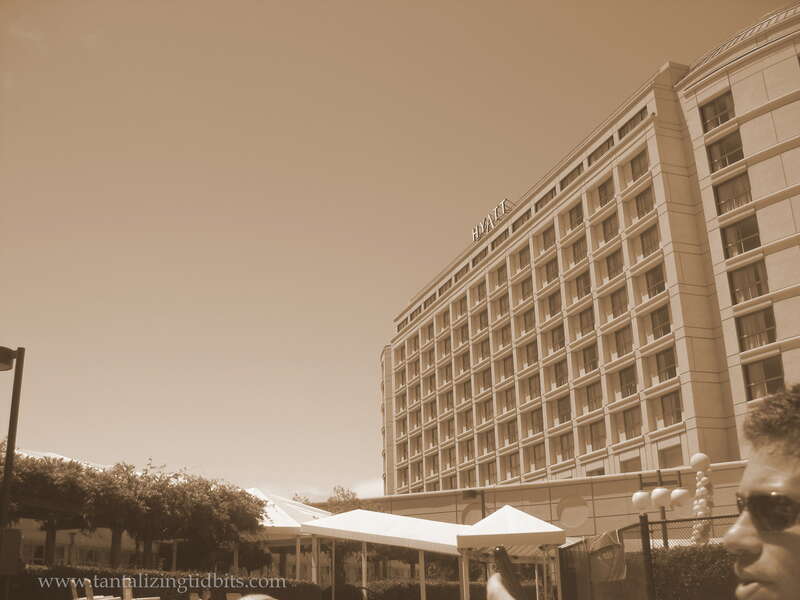 utopia pool party

8/8/10 burlingame, ca