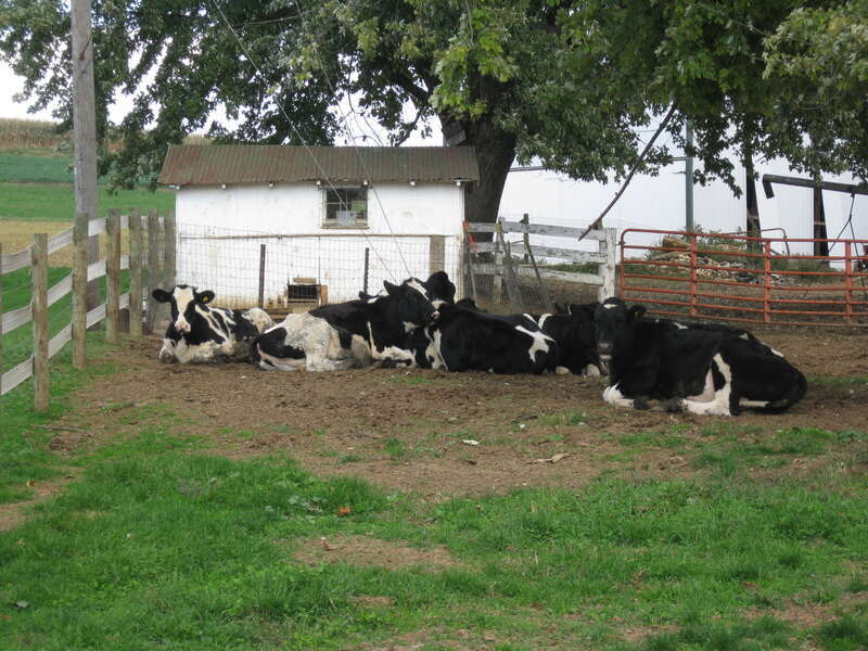 Intercourse, Pennsylvania