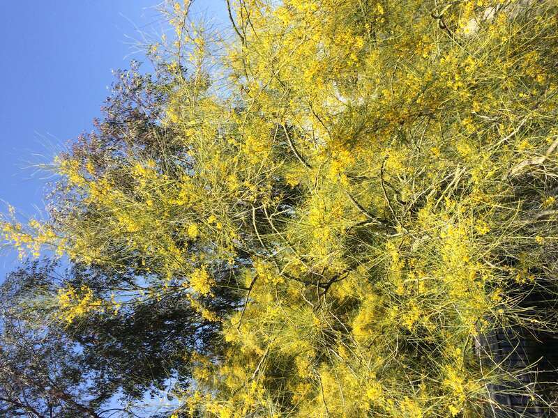 California, USA - May 2016

Los Angeles