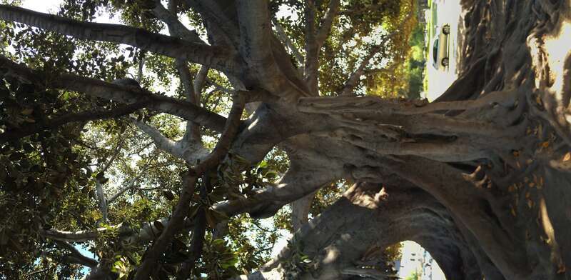 California, USA - May 2016

Los Angeles