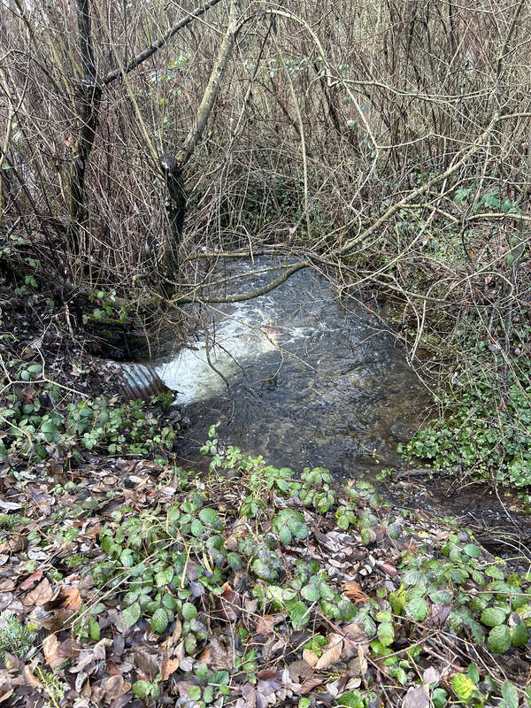 Mill Creek at the Mill Creek Canyon Earthworks, a public park in Kent, Washington.