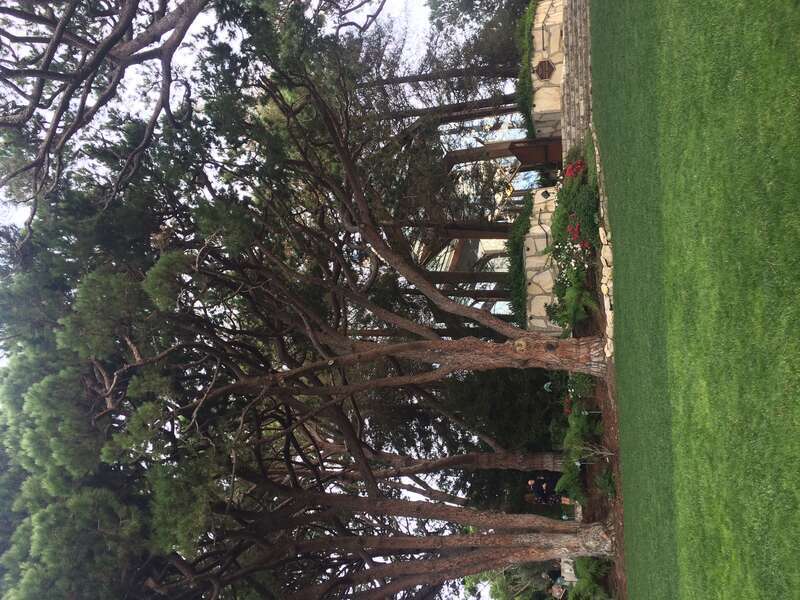 California, USA - November 2016