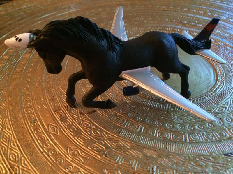 Pegasoarus can be seen gallivanting on Chincoteague Island and sometimes, when the wind is just right, in ascent over the eastern sea board.