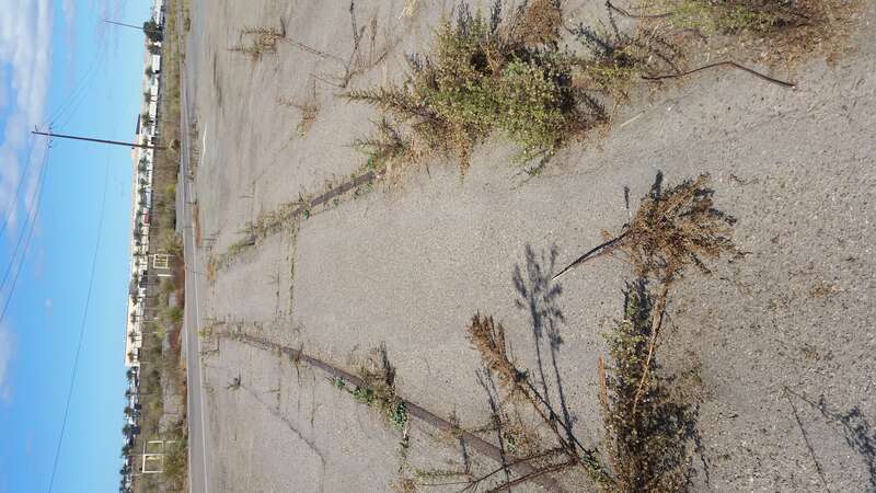Abandoned Rail in Chula Vista, partially removed due to the construction of the Bayshore Bikeway, located northwest of Auctions in Motion on Bay Boulevard.