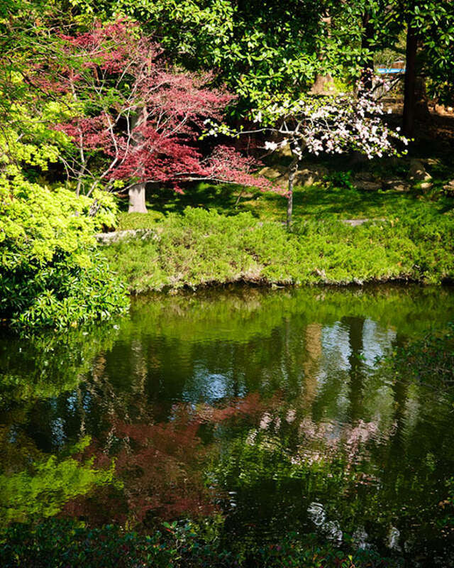 Reflections of the Spring vegetation in the Japanese Gardens at the Ft. Worth Botanic Gardens






This is an image of a place or building that is listed on the National Register of Historic Places in the United States of America. Its reference