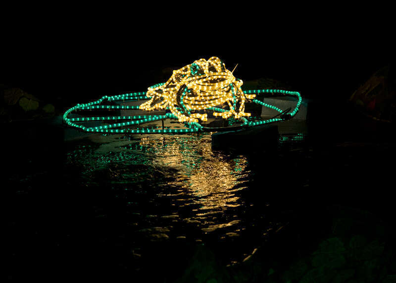 Each year in December, the Albuquerque Bio Park puts on a show called River of Lights. Last night we finally got to see it -- had two grandkids to keep up with, so I didn't get a lot of great photos. There were lights all over the place.
