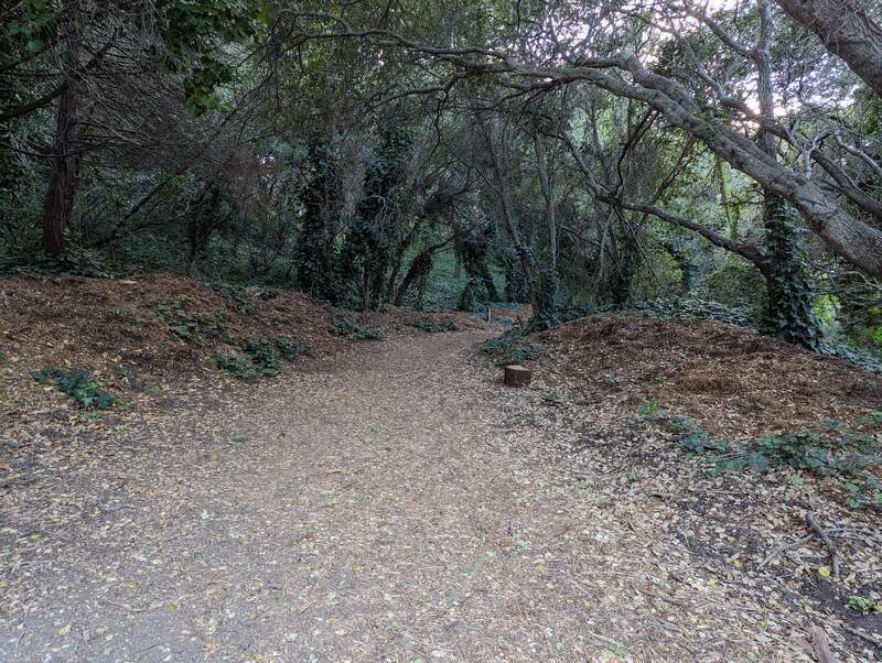 City Park trail leading into Junipero Serra Park