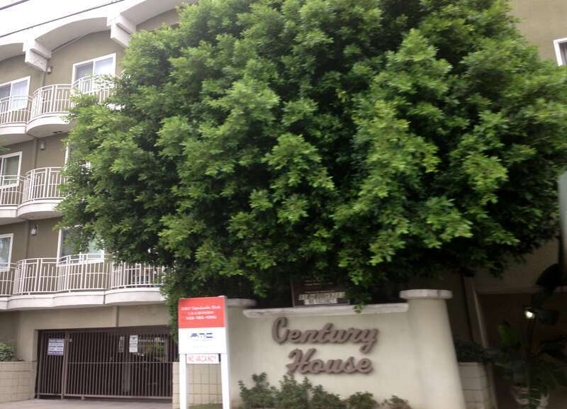 Sherman Oaks, Los Angeles, CA, USA