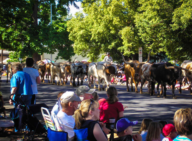 The annual fourth of July parade in Greeley.