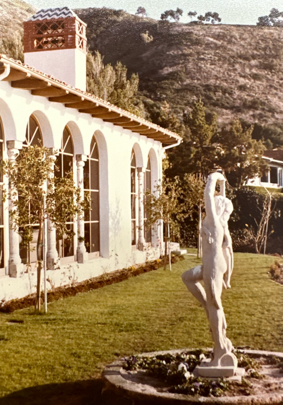 The Chasan Villa - Garden