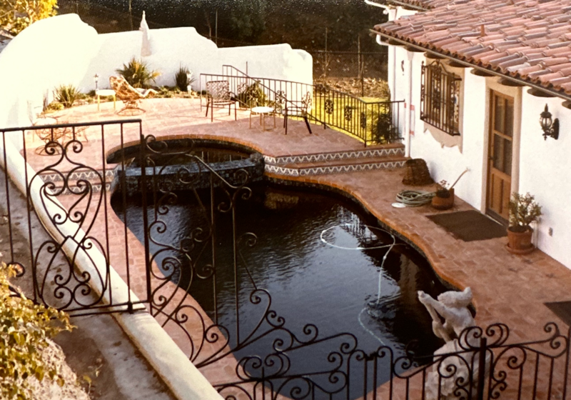 The Chasan Villa - Pool