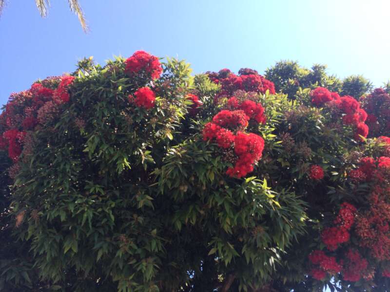 California, USA - August 2016