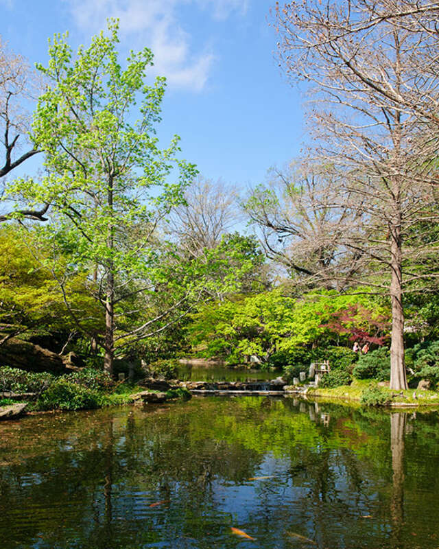 View of the fish pond in the Japanese Gardens at the Ft. Worth Botanic Gardens