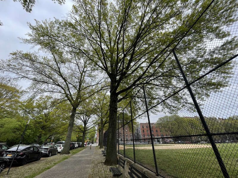 Parkside Avenue Parade Ground Brooklyn NYC