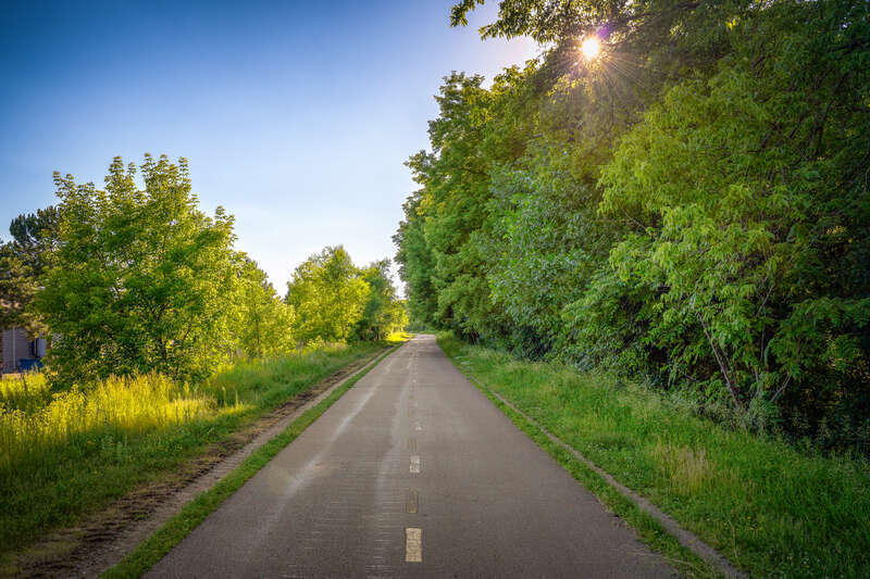 Cedar Lake Trail, showing marks on the trail from heavy tractors.


Part of an on-going series following the Southwest Light Rail construction in the Twin Cities. 
See more: 
&amp;lt;a href=&quot;https://www.chaddavis.photography/Projects/SouthwestLRT/&quot;