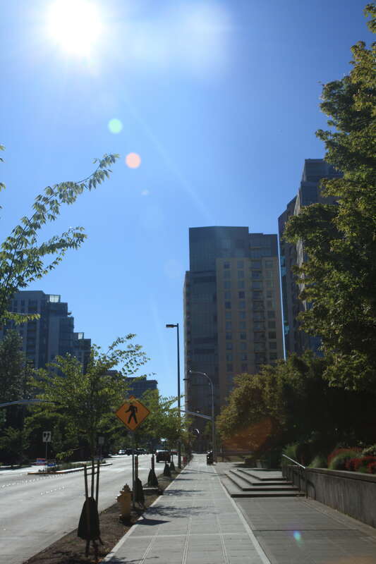 Downtown Bellevue on a hot, sunny day.
