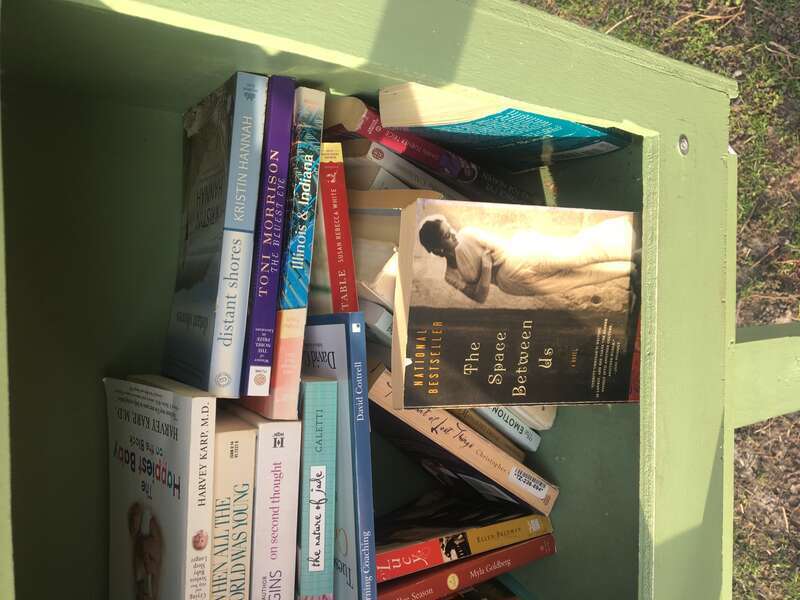 Appropirate reading for Covid times.

Chicago