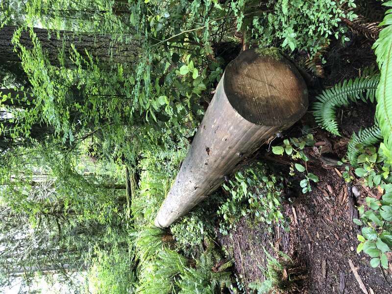 Beaver Lake Park, Sammamish, Washington