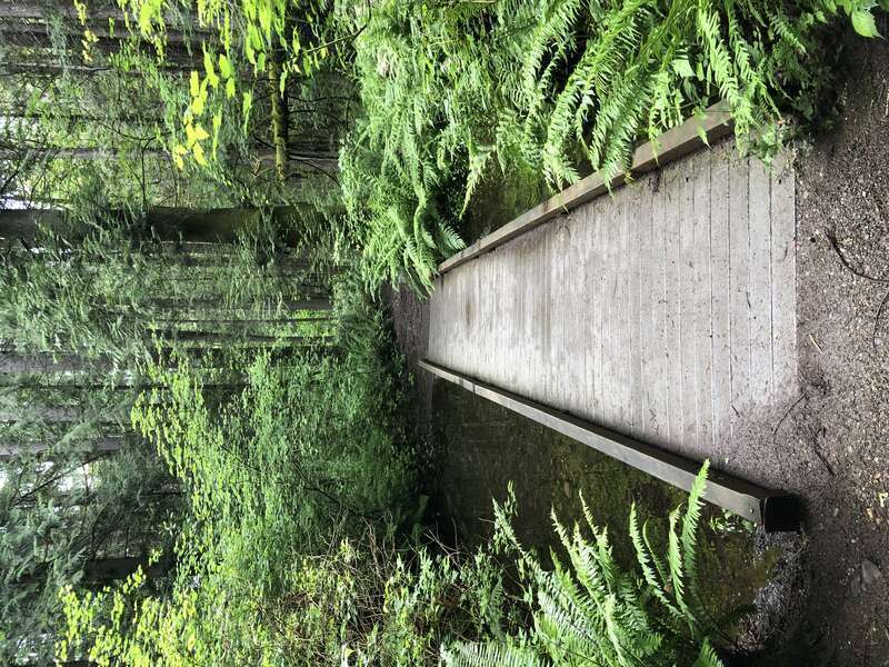 Beaver Lake Park, Sammamish, Washington