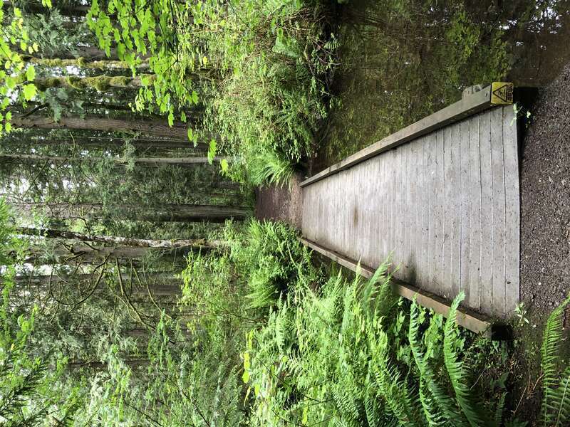 Beaver Lake Park, Sammamish, Washington