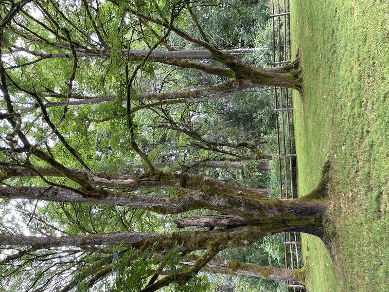 Idylwood Park, Redmond, Washington, United States.