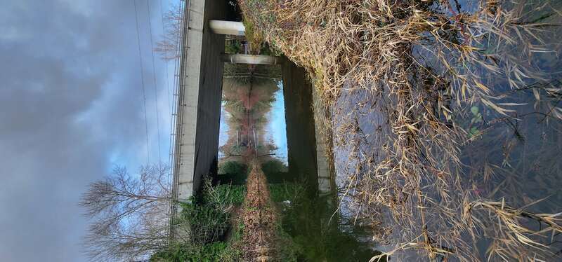View of the Sammamish River Luke at McRedmond Landing in Redmond, Washington