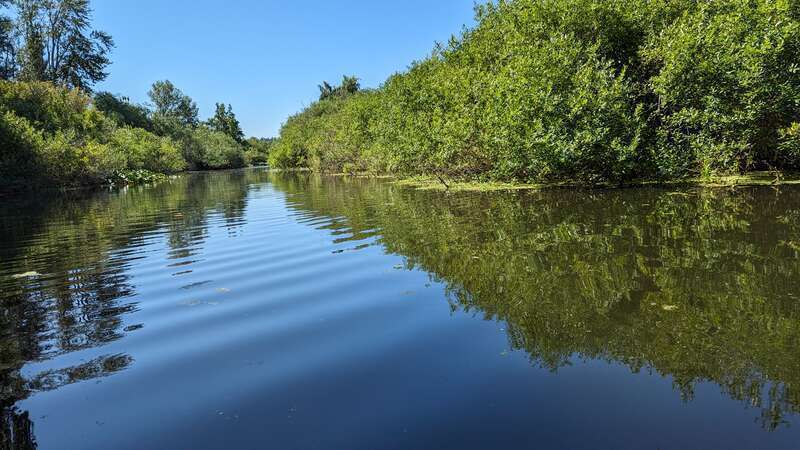 The Mercer Slough in 2023 facing south