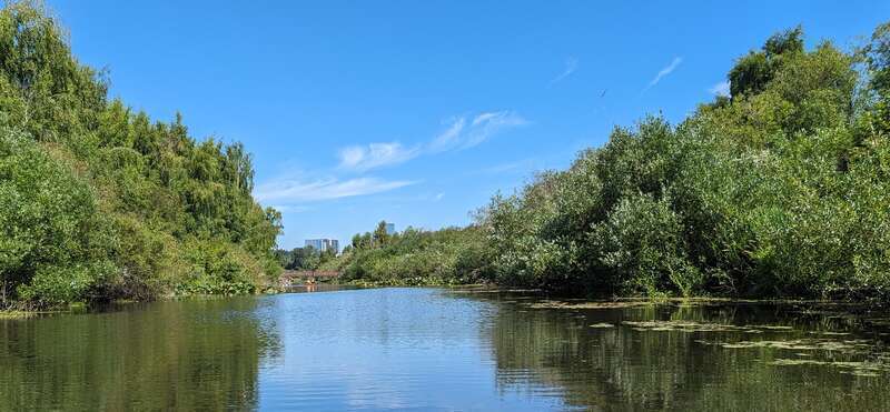 The Mercer Slough in 2023 facing north with downtown Bellevue, a footbridge, and canoers visible.