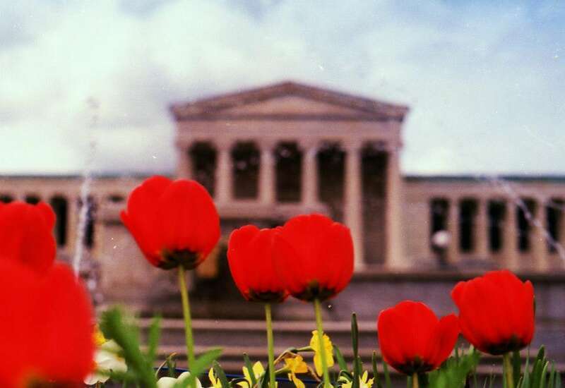 Albright-Knox Art Gallery
The Albright-Knox Art Gallery, East facade, tulips in the foreground.