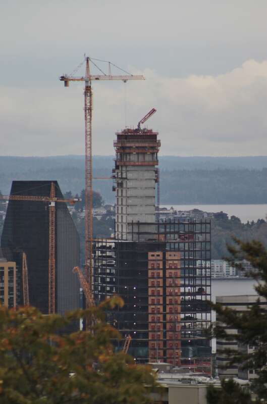 Amazon Tower II from the Volunteer Park water tower
