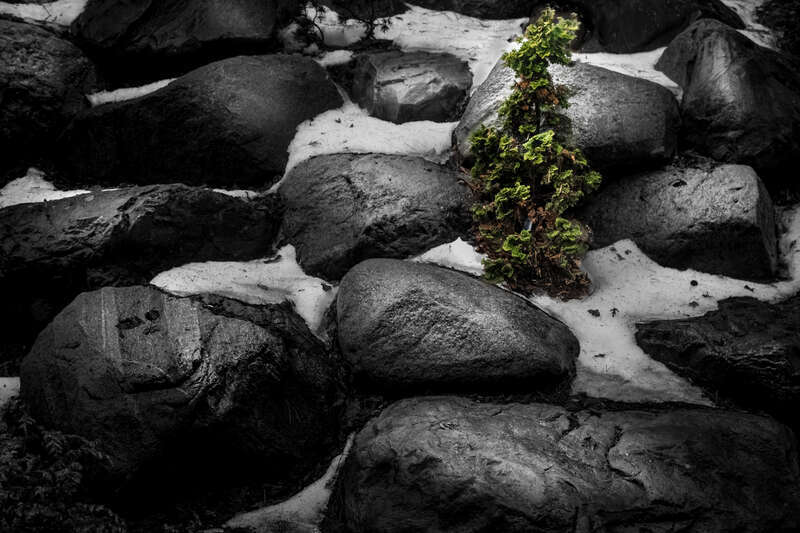 a different approach at the local botanical garden.