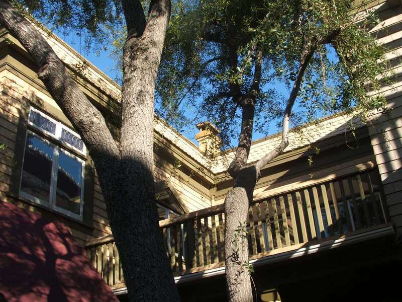 w:National Register of Historic Places listings in Alameda County, California. George Washington Patterson Ranch-Ardenwood, 34600 Newark Blvd., Fremont, California






This is an image of a place or building that is listed on the National Register