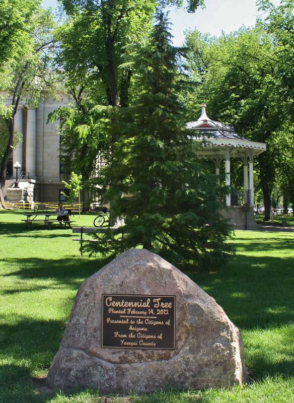 Arizona Centennial Tree