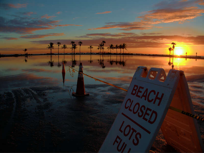 Matheson Hammock was under repair.   The sunrise and palm trees didn't care.
Web sites using this photo:
Flickr: Explore!

www.facebook.com/AsianInstituteofManagement/photos/a.4998...