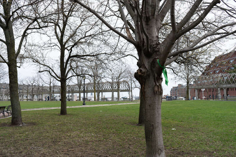 Donate: PayPal &amp;amp; Venmo Join: Patreon